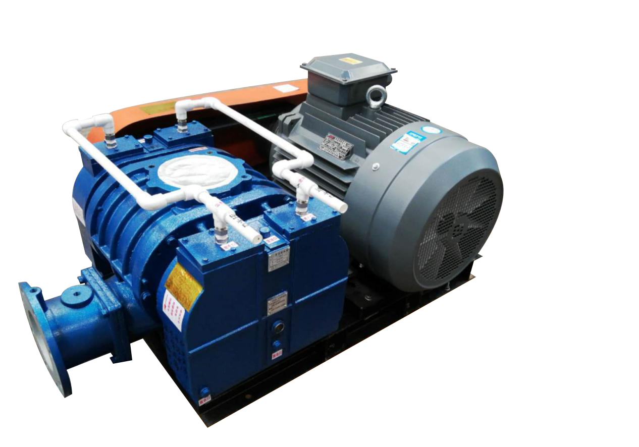 羅茨風(fēng)機(jī)-山東章丘德威爾機(jī)械