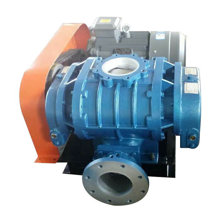 羅茨風(fēng)機(jī)安裝-山東章丘德威爾機(jī)械